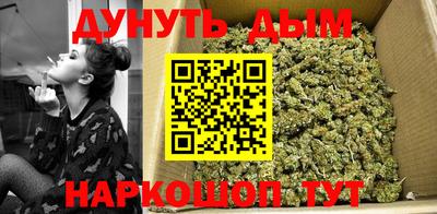 стафф Вязьма