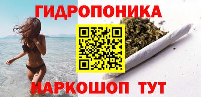 стафф Вязьма