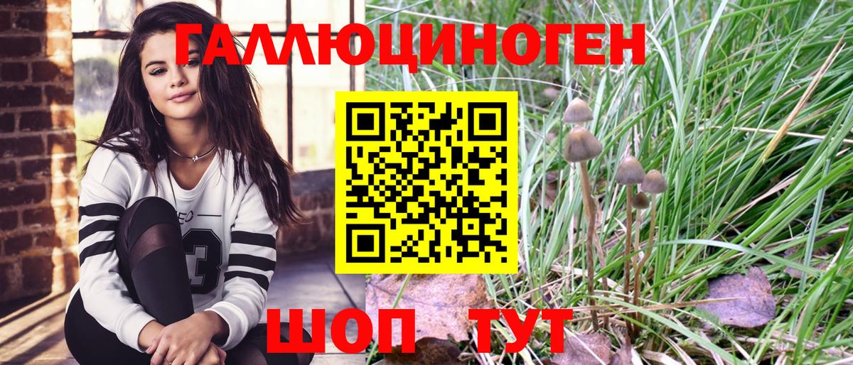 Воркута  Псилоцибиновые грибы мухоморы  Галлюциногенные грибы мицелий  Вход с VPN 