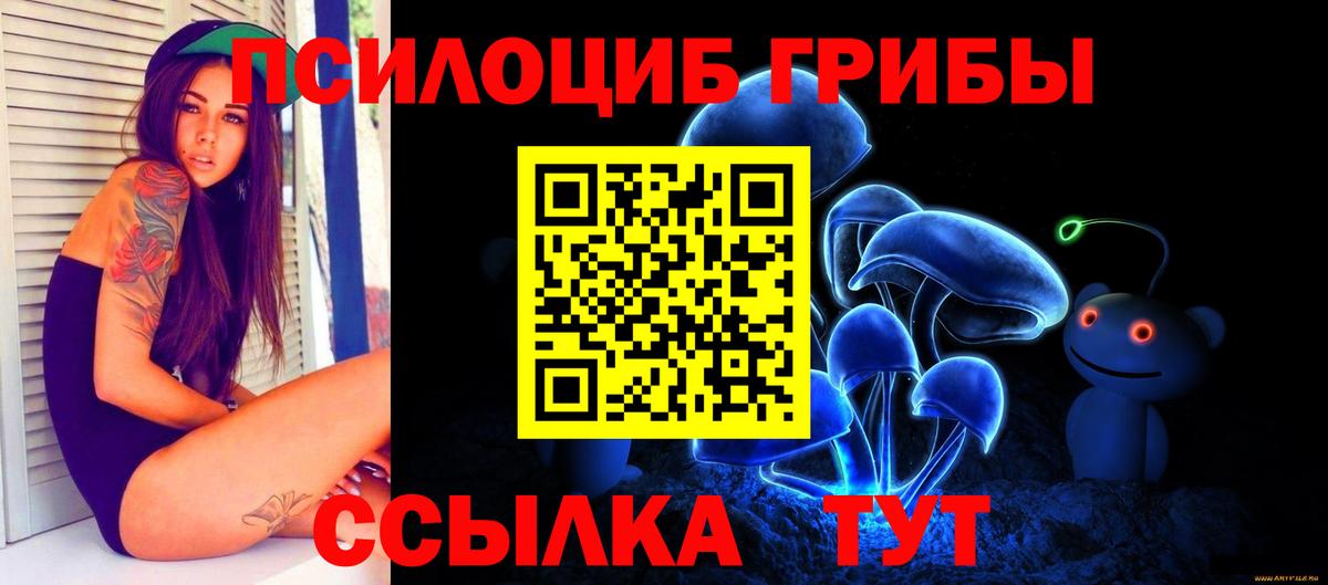 Галлюциногенные грибы мухоморы Воркута